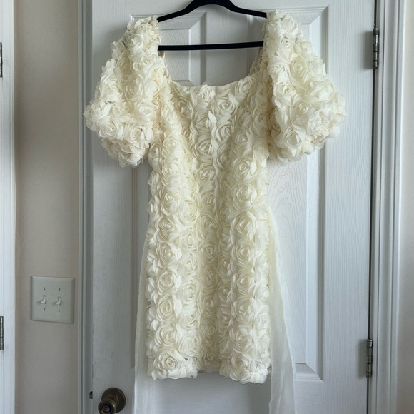 Cream Rose Mini Dress - Picture 3 of 4